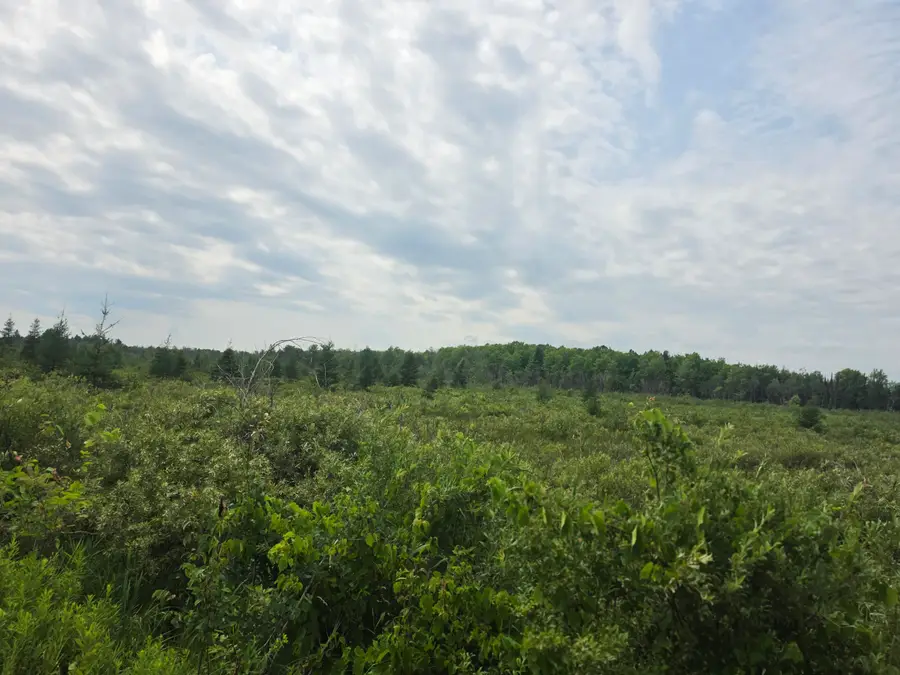 38.10 Acres Old Rail Rd, Wausaukee, WI 54177 - #3