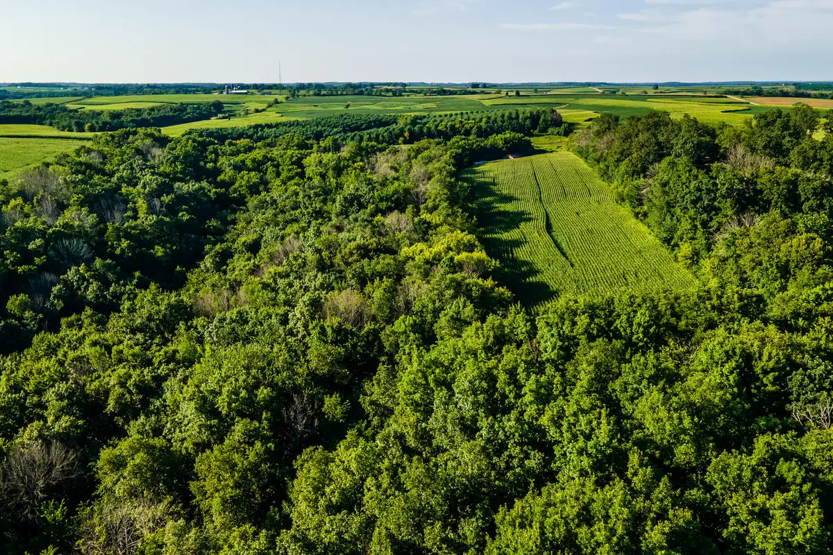Lt1 County Hwy Nn, Westford, WI 53924 - #1