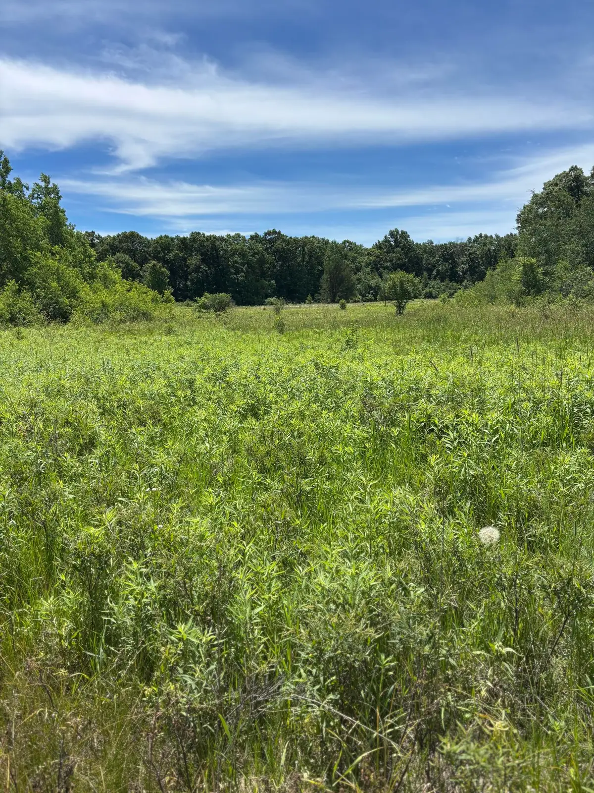 0 Grapevine Ave, Tomah, WI 54660 - #1