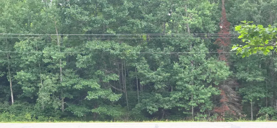 Lt0 Loon Lake Rd, Fern, WI 54121 - #2