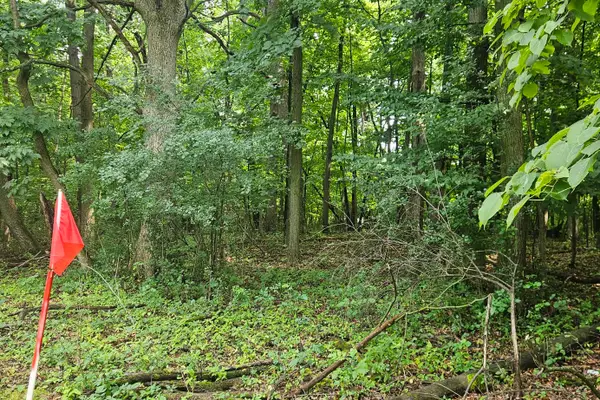 E S 42nd St, Greenfield, WI 53221