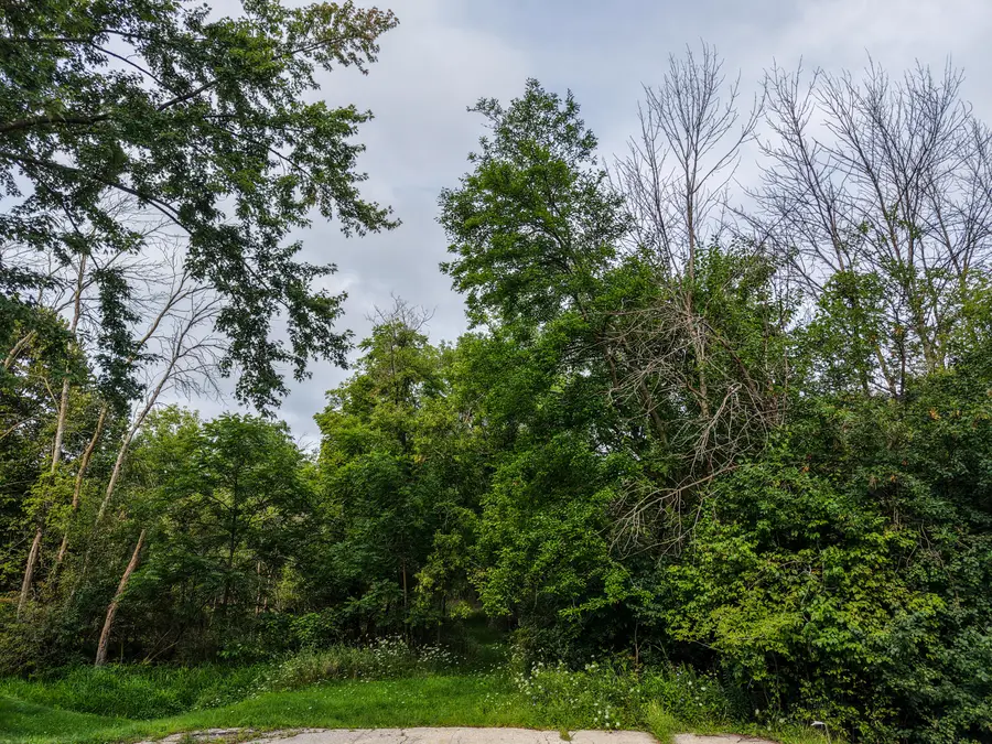 Lt1 Betterway Dr, Mayville, WI 53050 - #2