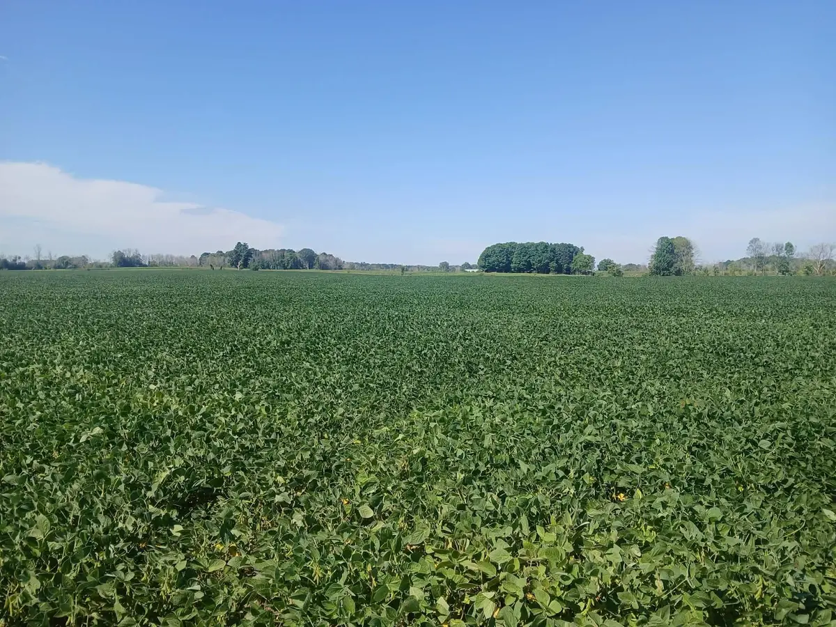 Lt69.26 County Road R, Kossuth, WI 54220 - #1