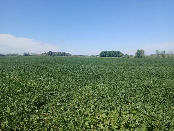 Lt69.26 County Road R, Kossuth, WI 54220