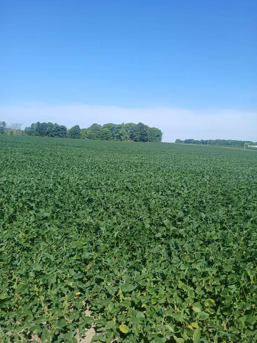 Lt69.26 County Road R, Kossuth, WI 54220 - #2