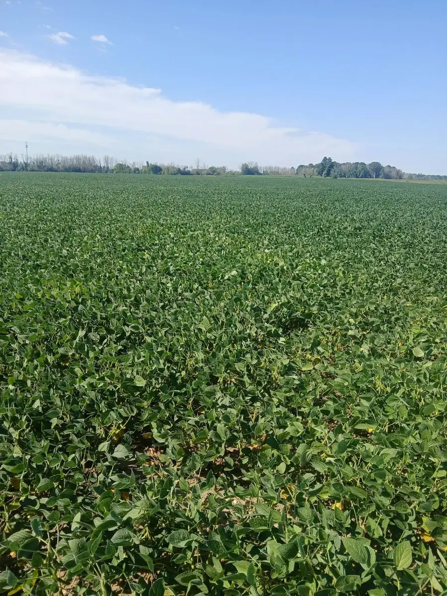 Lt69.26 County Road R, Kossuth, WI 54220 - #3