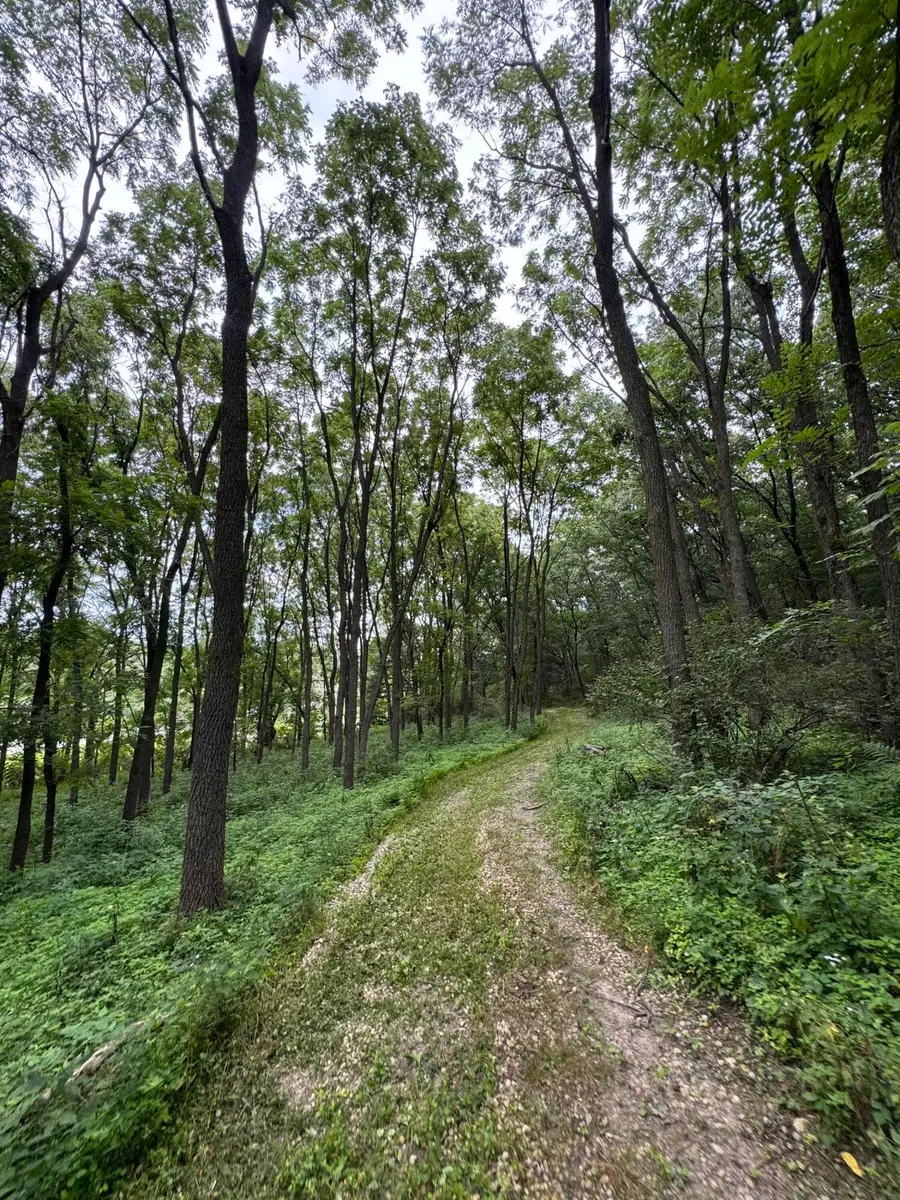 W316S198 Highway 83, Delafield, WI 53018 - #3
