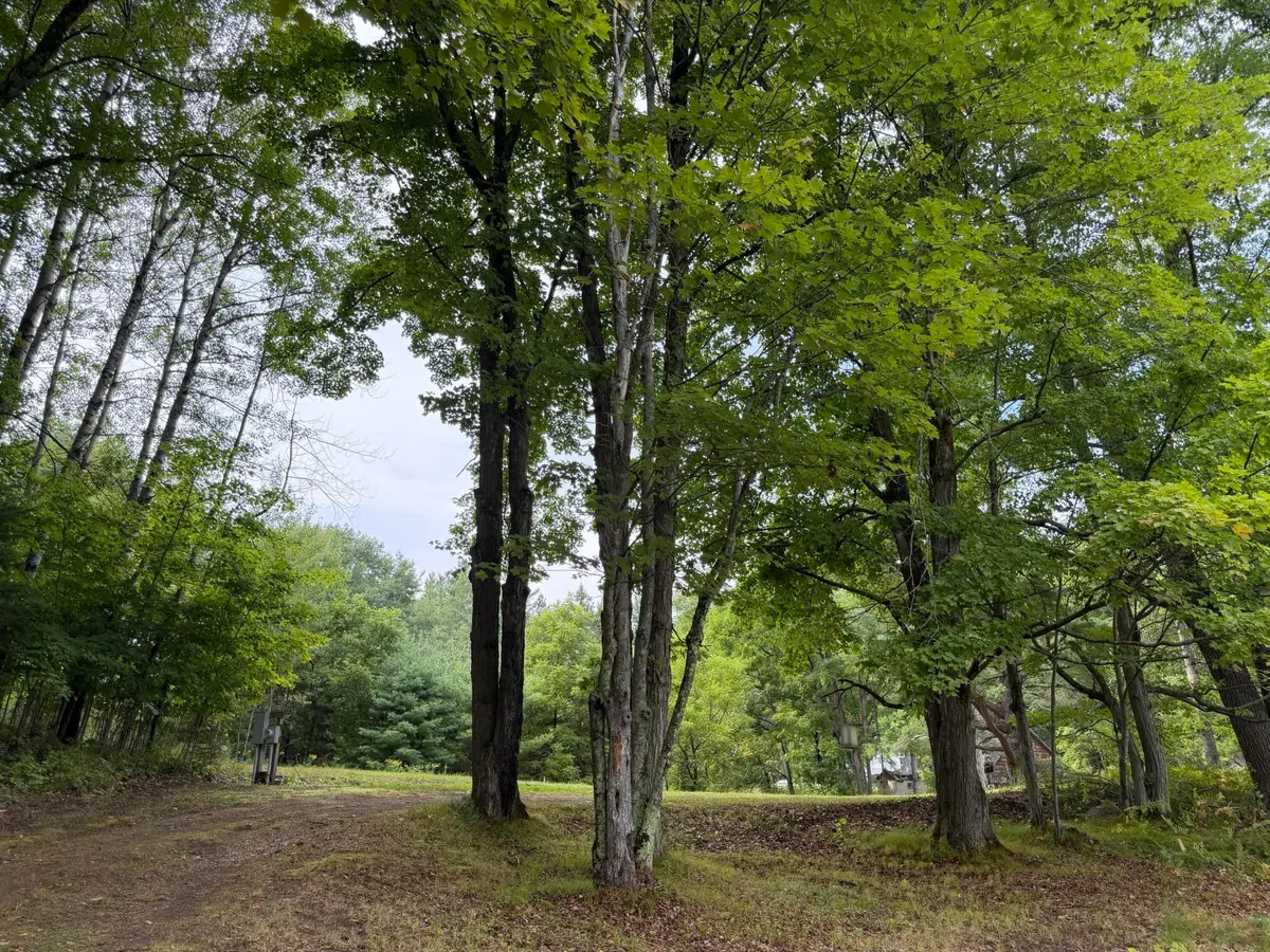 N14863 Lanfear Rd, Amberg, WI 54102 - #1