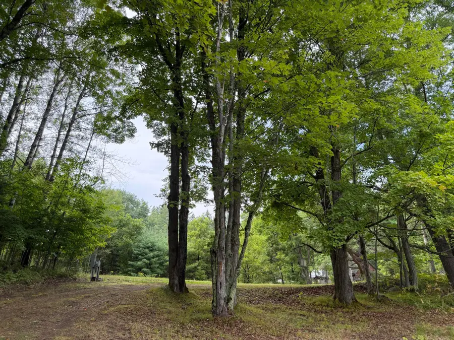 N14863 Lanfear Rd, Amberg, WI 54102 - #3