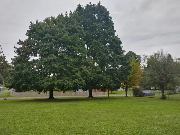 Lt2 Pine Rd, Bloomfield, WI 53128