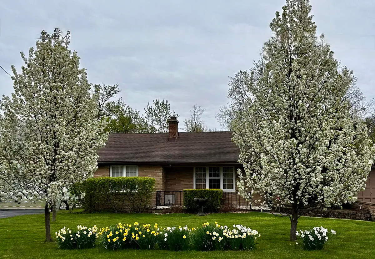 2407 Melrose Ave, Waukegan, IL 60085 - #1