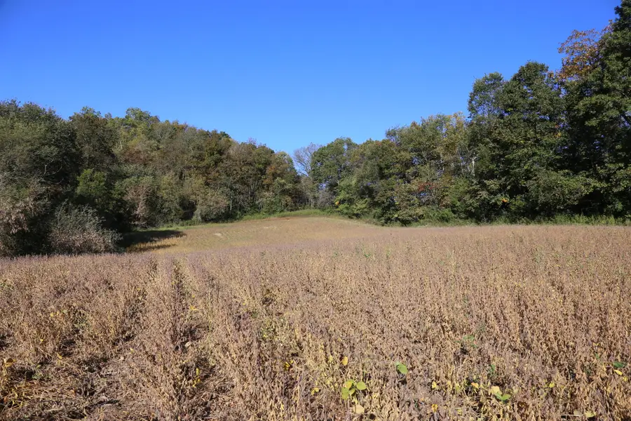 000 Gaslight Ave, Sparta, WI 54656 - #2