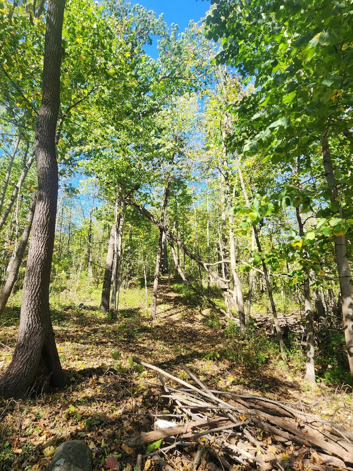 Lt0 312th Ave, Brighton, WI 53139 - #1