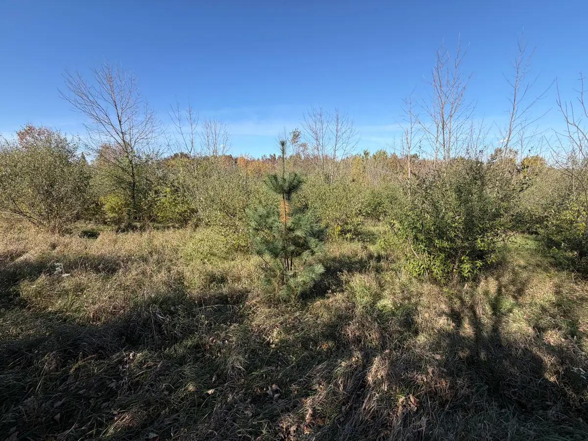 Lot 31 Woodland Ln, Webster, WI 54664 - #1