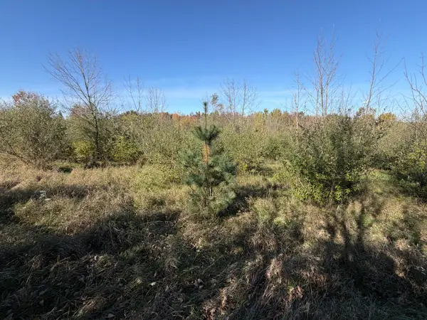 Lot 31 Woodland Ln, Webster, WI 54664