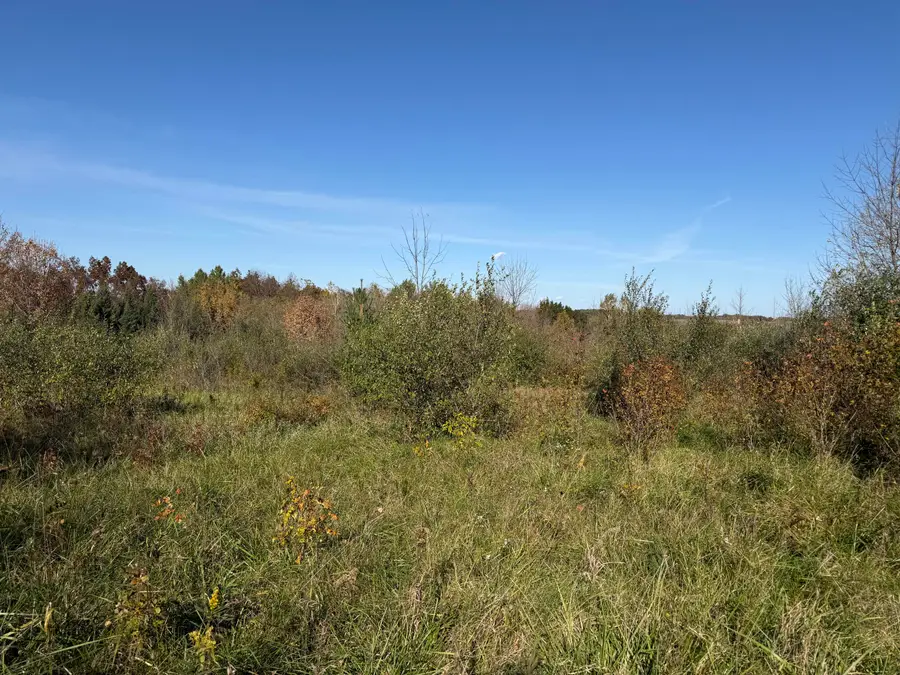 Lot 31 Woodland Ln, Webster, WI 54664 - #2