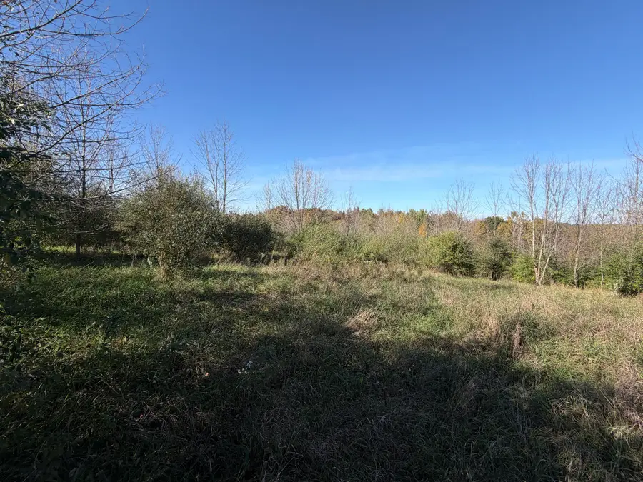 Lot 31 Woodland Ln, Webster, WI 54664 - #3