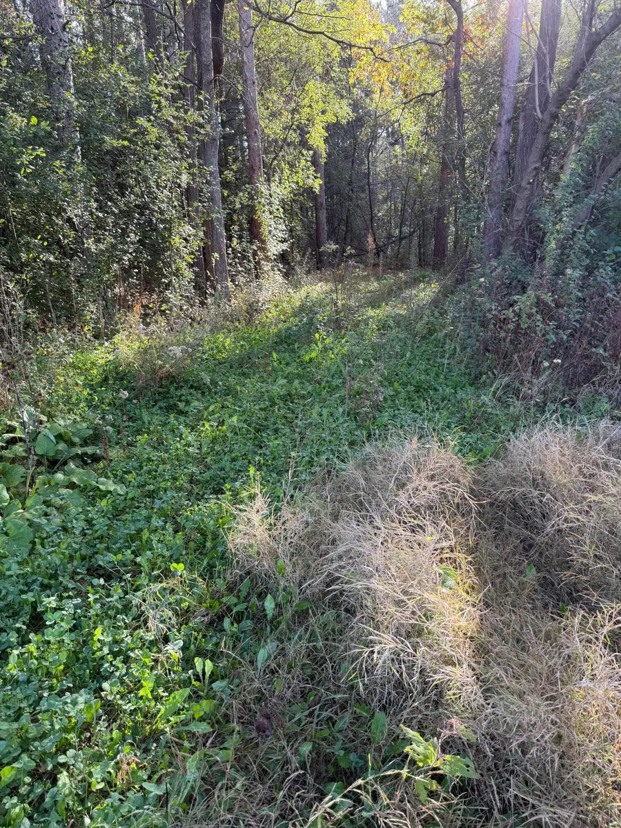 Lot 2 County Highway I, Angelo, WI 54656 - #3