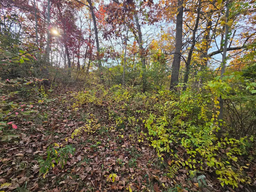 30335 Beachview Ln, Waterford, WI 53185 - #2