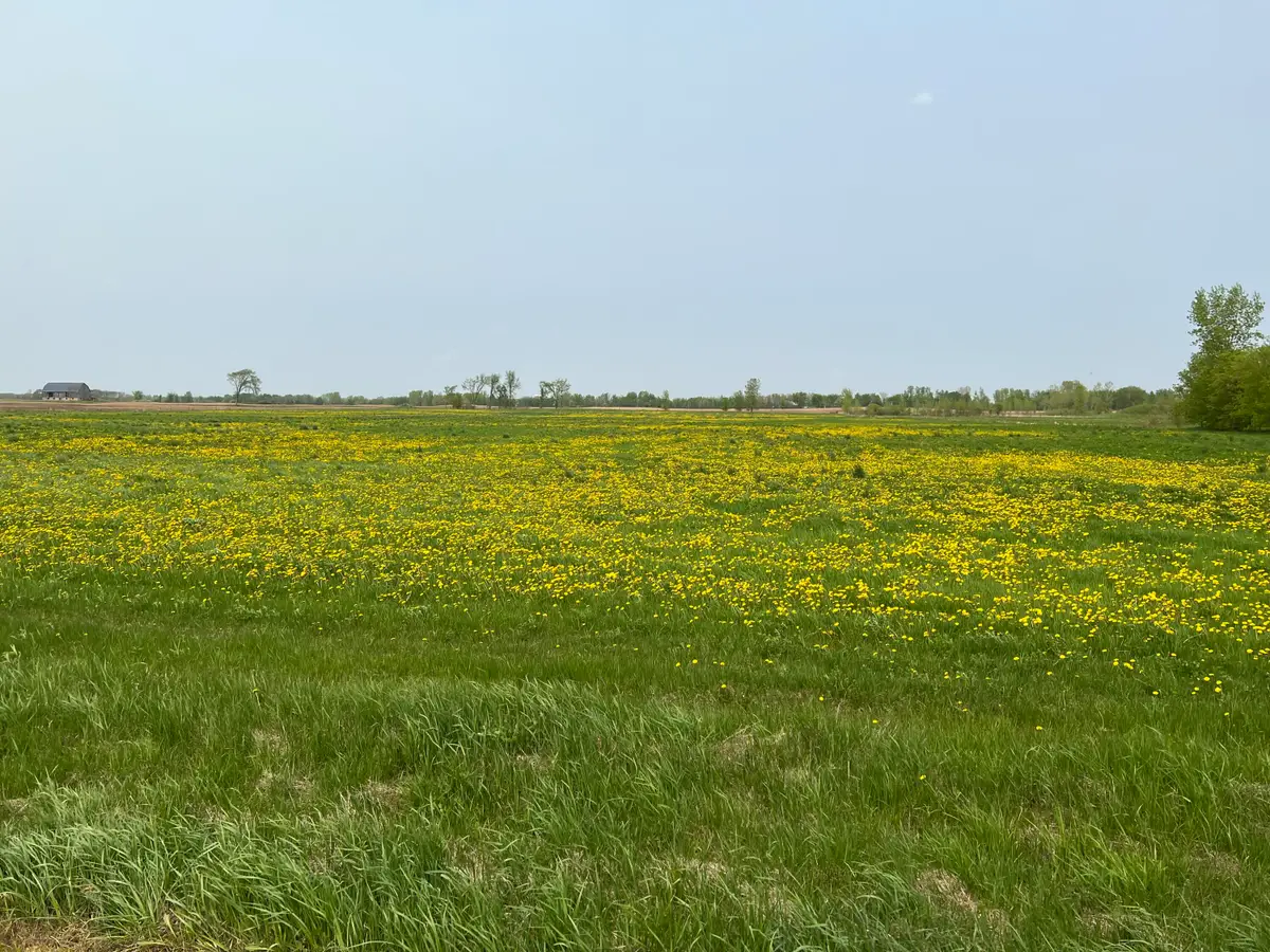 Lt0 Deer Dr, Angelica, WI 54162 - #1