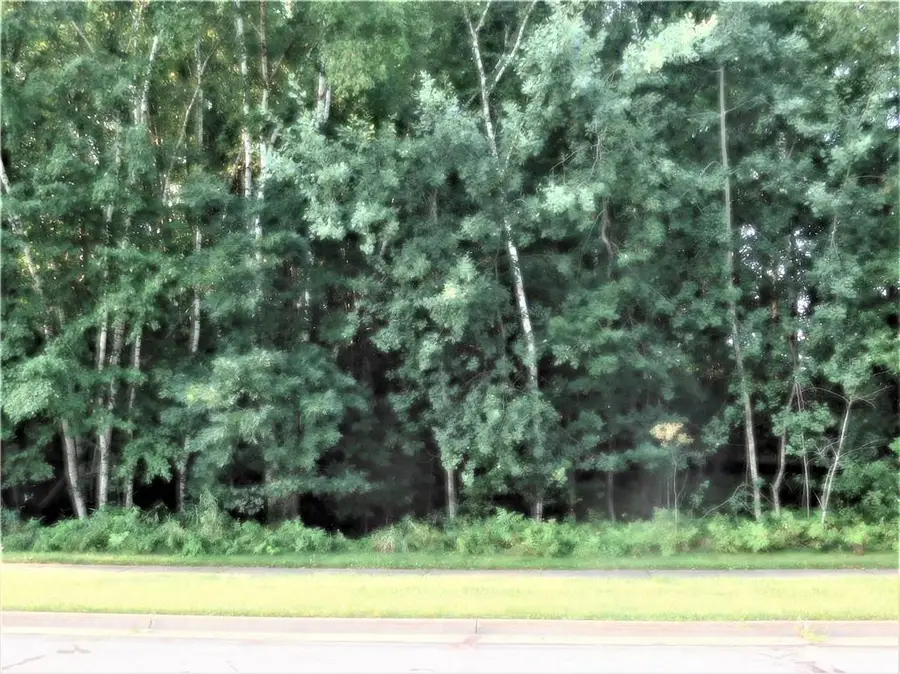 4203 Lasalle Street, Eau Claire, WI 54703 - #2