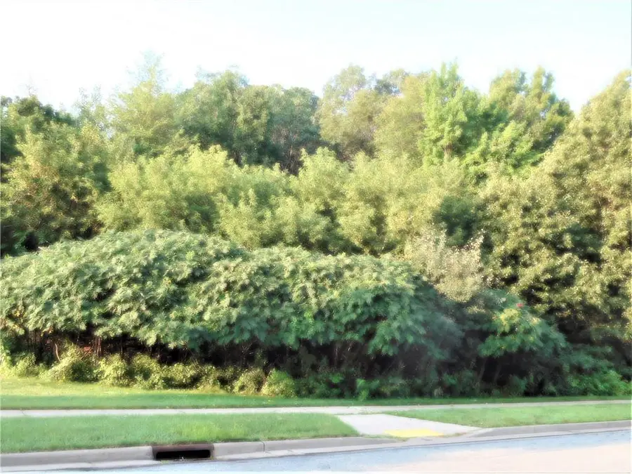 4219 Lasalle Street, Eau Claire, WI 54703 - #3