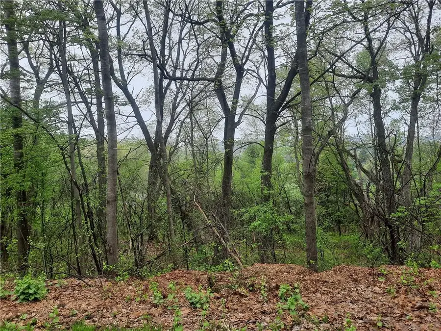 Lot 103 Rye Bluff Road, Black River Falls, WI 54615 - Image #2