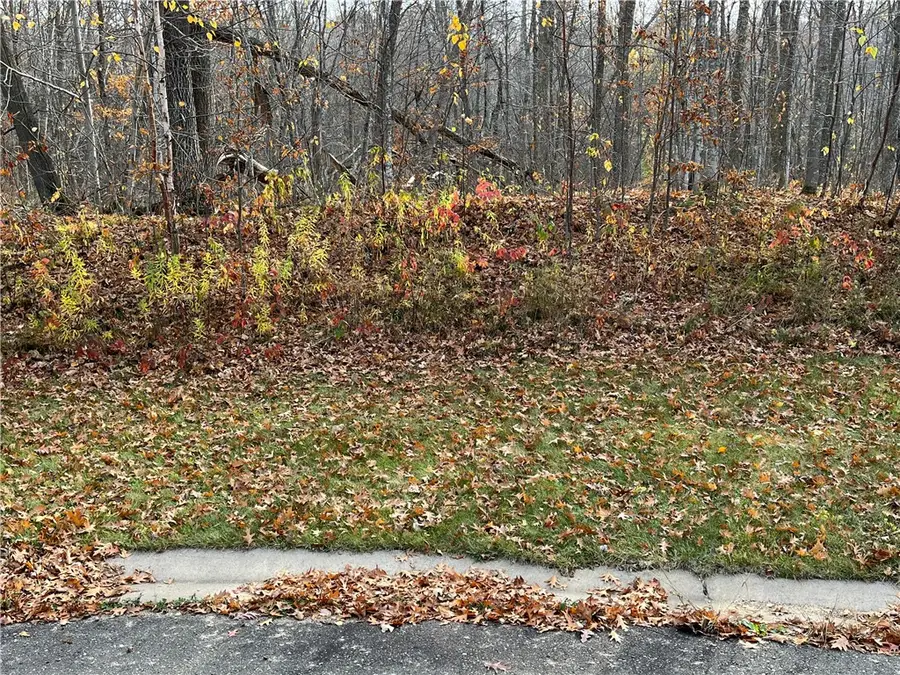 LOT 17 Wilderness Hills Lane, Luck, WI 54853 - #2