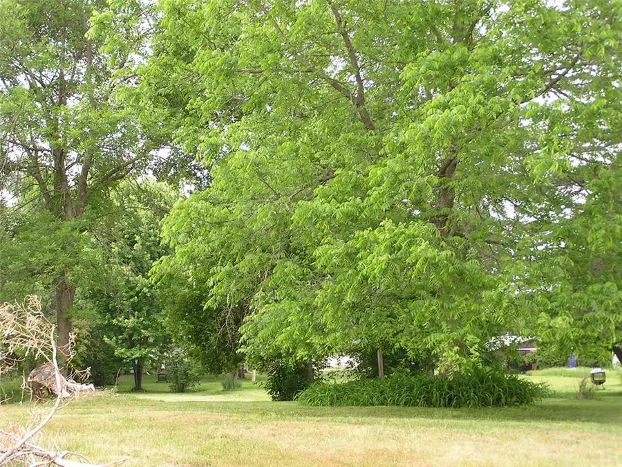 916 E 4th Street S, Ladysmith, WI 54848 - Image #2