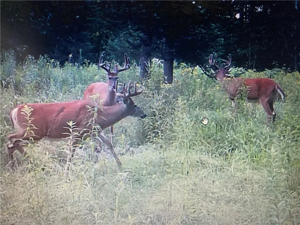 N3711 Cloverland Road, Ladysmith, WI 54848 - Image #1