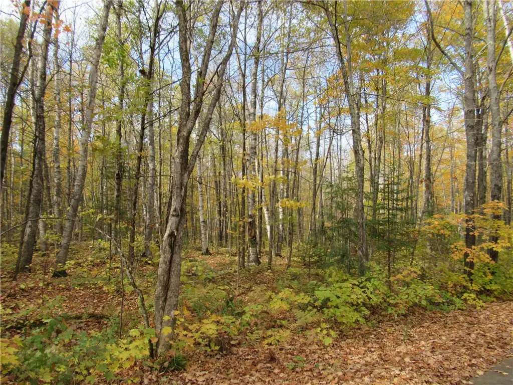 Lot 3 Scheers Road, Hayward, WI 54843 - Image #1