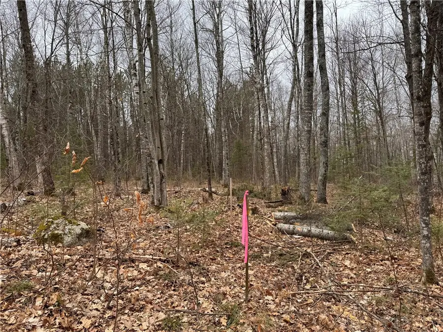 Lot 3 Scheers Road, Hayward, WI 54843 - Image #3