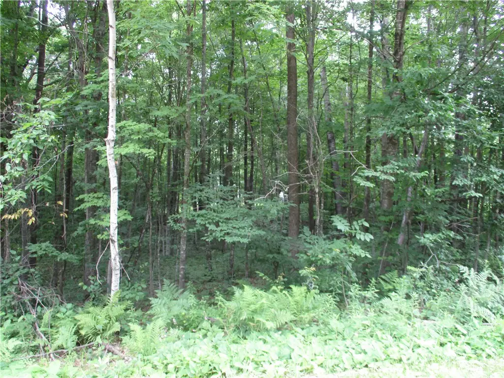 Lot #96 Woods Avenue, Birchwood, WI 54817 - Image #1
