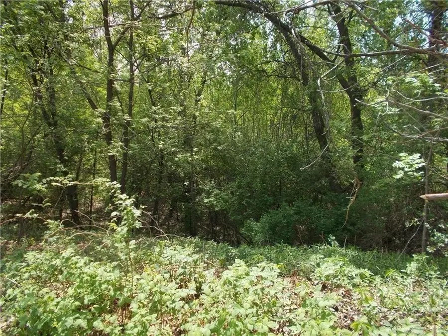 Lots 1-4 Tainter Street Ne, Menomonie, WI 54751 - Image #2