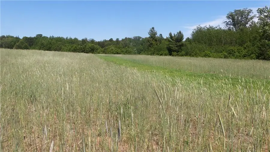 LOT 17 Red Maple Lane, Siren, WI 54872 - #3