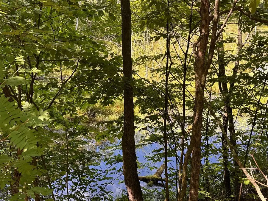 Lot 1 Oriole Lane, Hayward, WI 54843 - Image #2