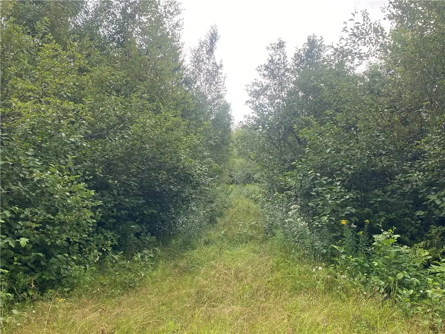 ON Right Of Way Road, Butternut, WI 54514 - Image #2