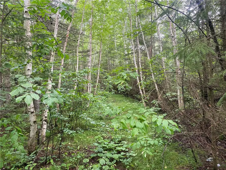 On Knowles Road, Loretta, WI 54896 - Image #2