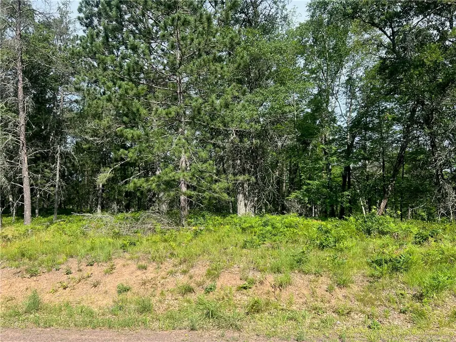Lot 56 Spotted Fawn Road, Danbury, WI 54830 - Image #2