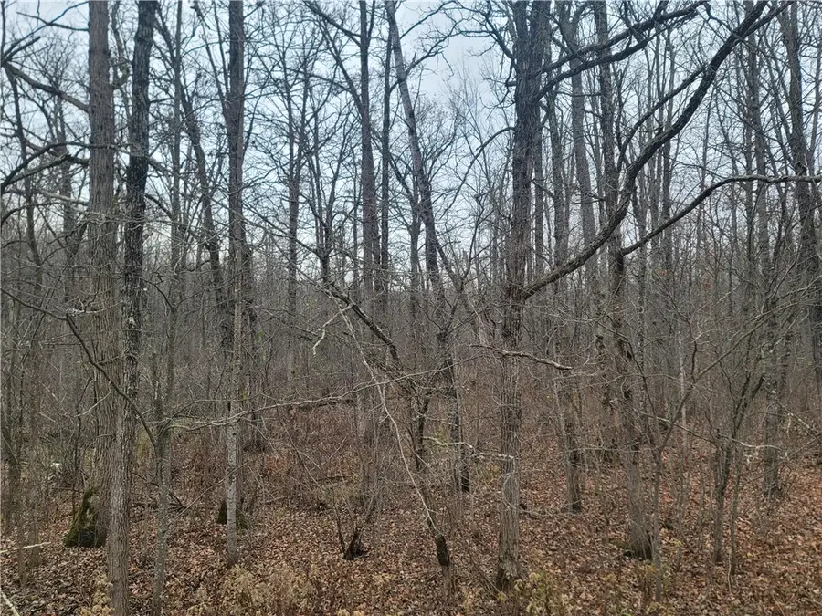 00 15th Avenue, Cameron, WI 54822 - Image #3