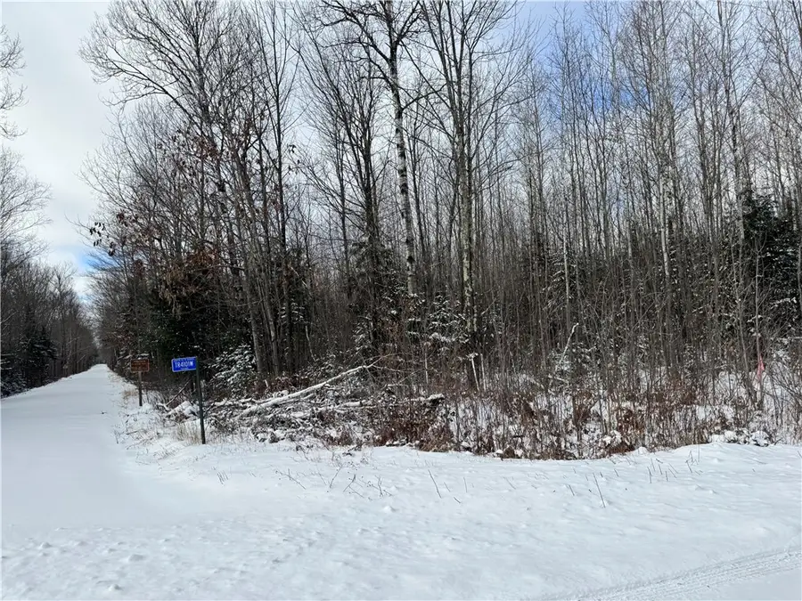 Lot 3 Uncle Toms Road, Loretta, WI 54896 - Image #2