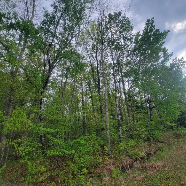 Lot 10 County Road A, Spooner, WI 54801 - #2