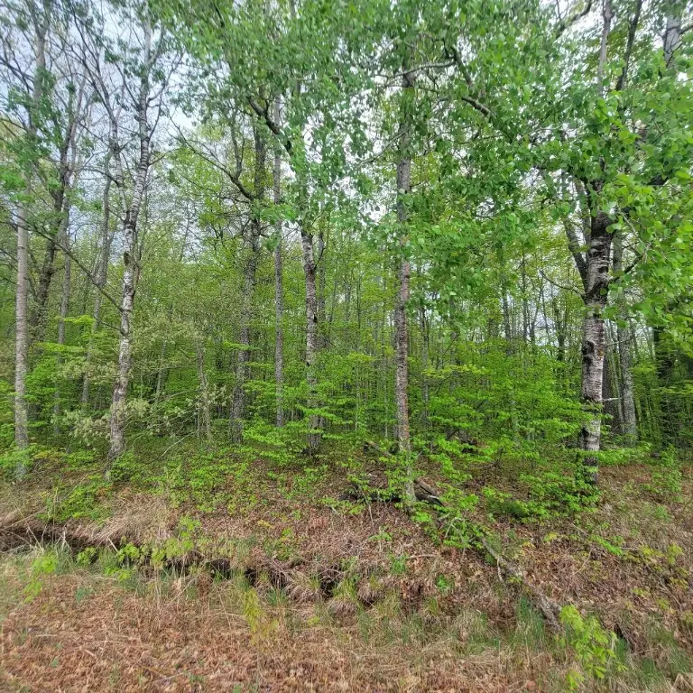 Lot 10 County Road A, Spooner, WI 54801 - #3