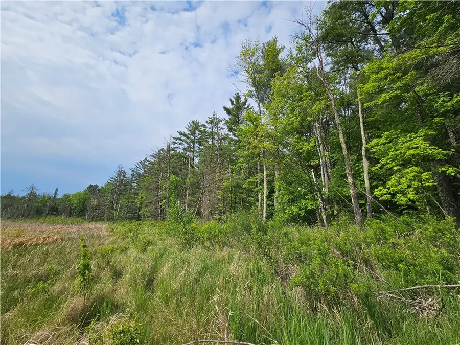 11497N Ursa Road, Hayward, WI 54843 - #3