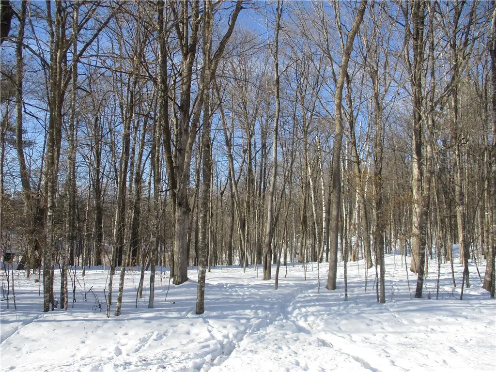 LOT #87 Maple Way, Birchwood, WI 54817 - Image #1