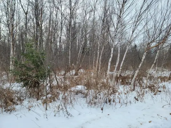 5 Acres off Weirgor Road, Exeland, WI 54835