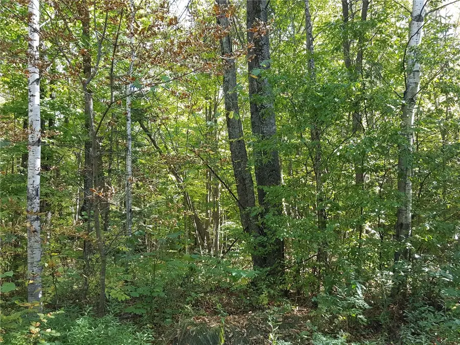 ON N Altamont Road, Mason, WI 54856 - Image #2