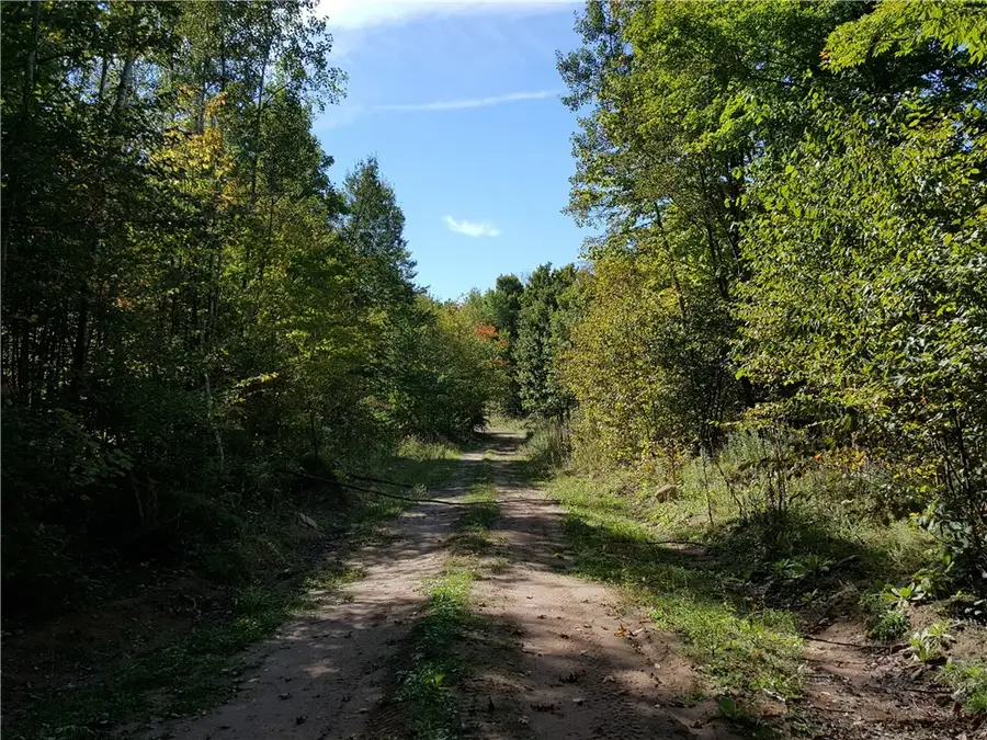 ON N Altamont Road, Mason, WI 54856 - Image #3