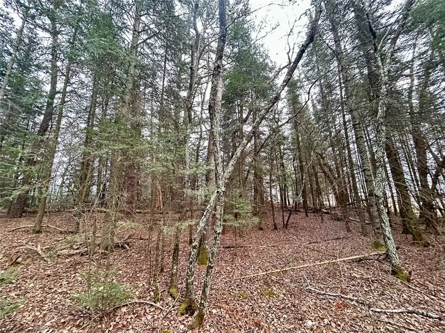 0 Airport Road, Hayward, WI 54843 - Image #3