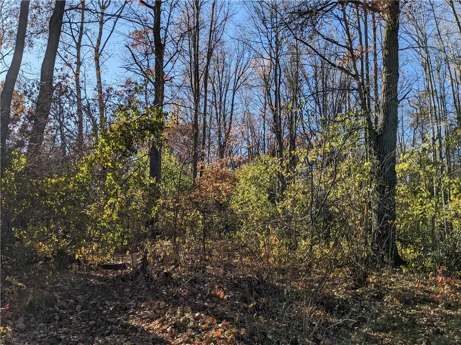 Lot 0 Thomas Avenue, Rice Lake, WI 54868 - Image #2